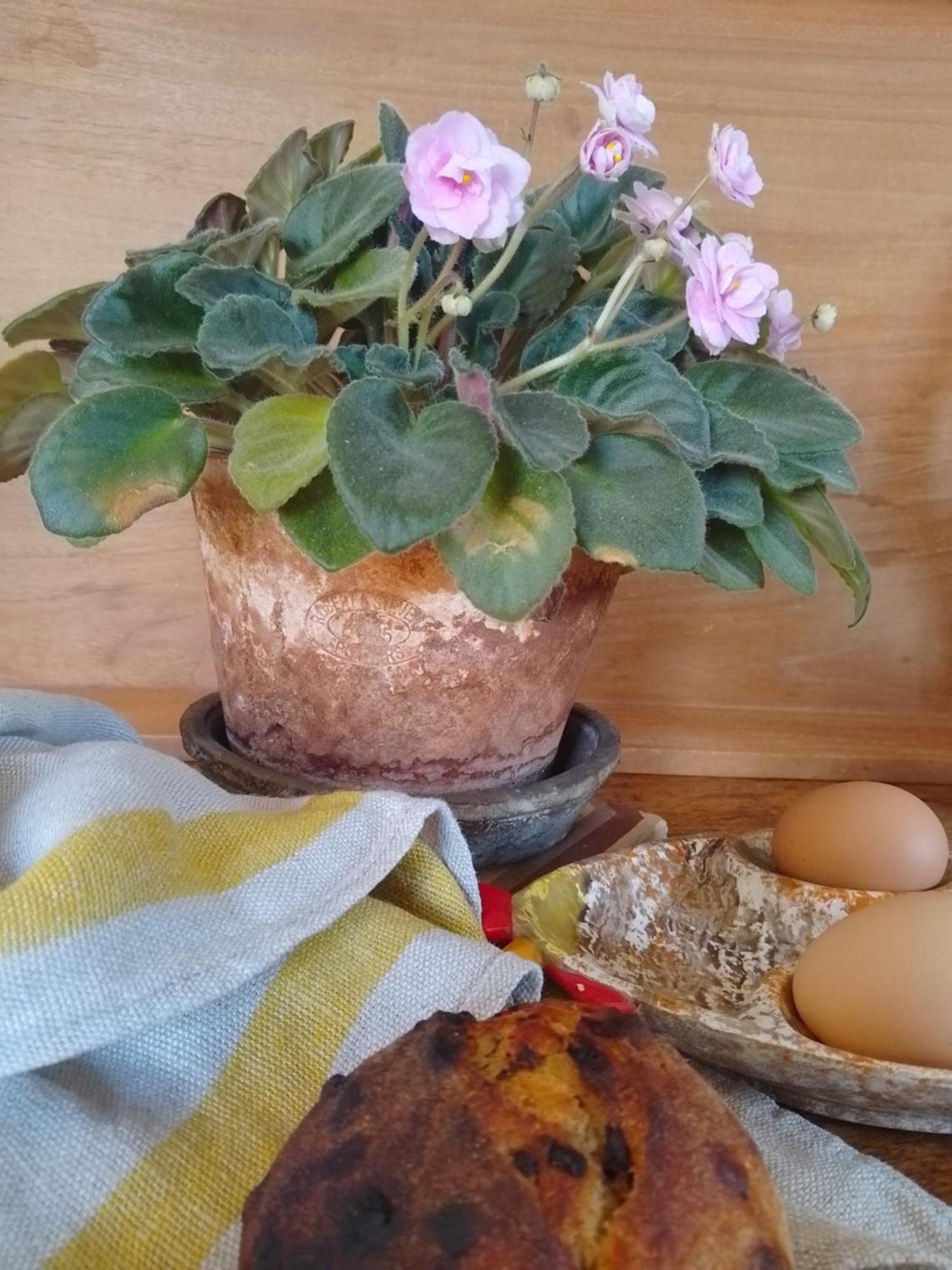 Bastida De Beata Bed and Breakfast Noailles  Exteriör bild