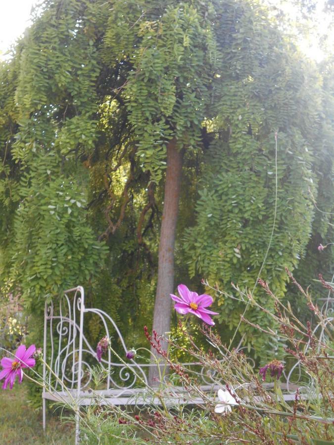 Bastida De Beata Bed and Breakfast Noailles  Exteriör bild