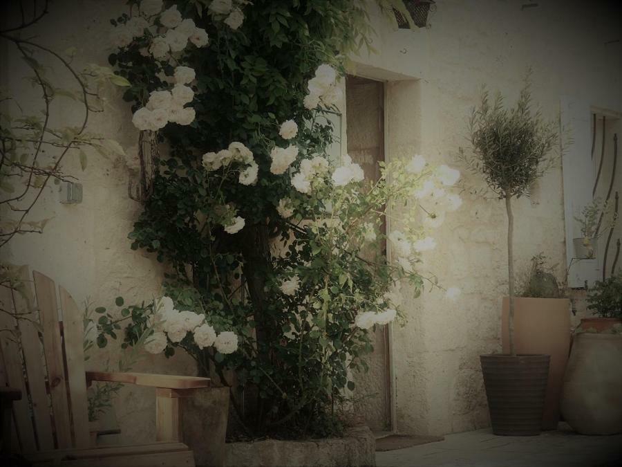 Bastida De Beata Bed and Breakfast Noailles  Exteriör bild